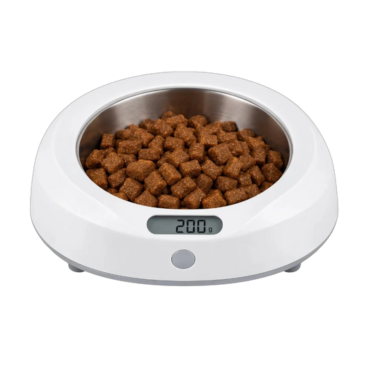 Bertiy Digital Pet Food Bowl with Weight Display