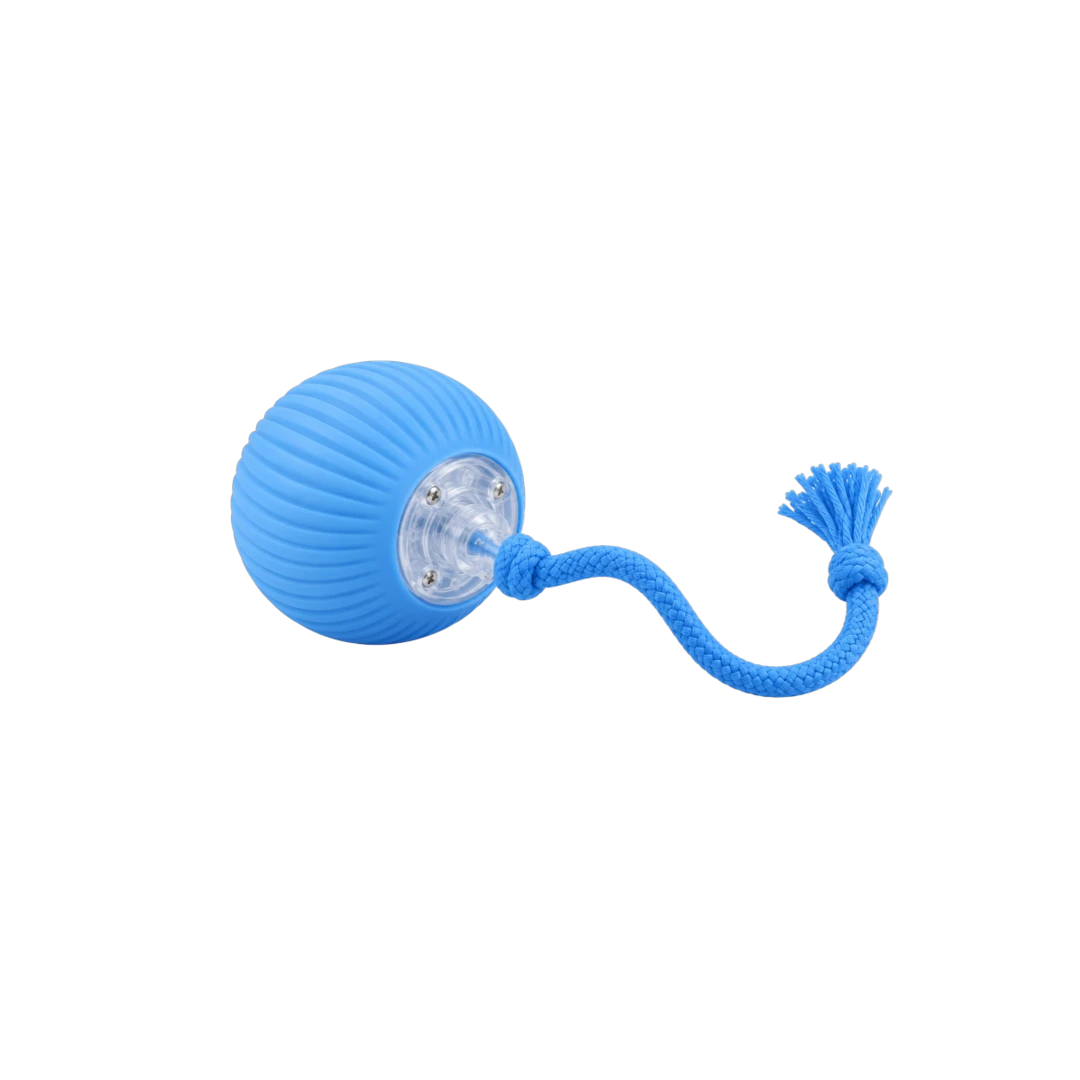 Bertiy Blue Light-Up Rope Ball Interactive Pet Toy for Dogs & Cats