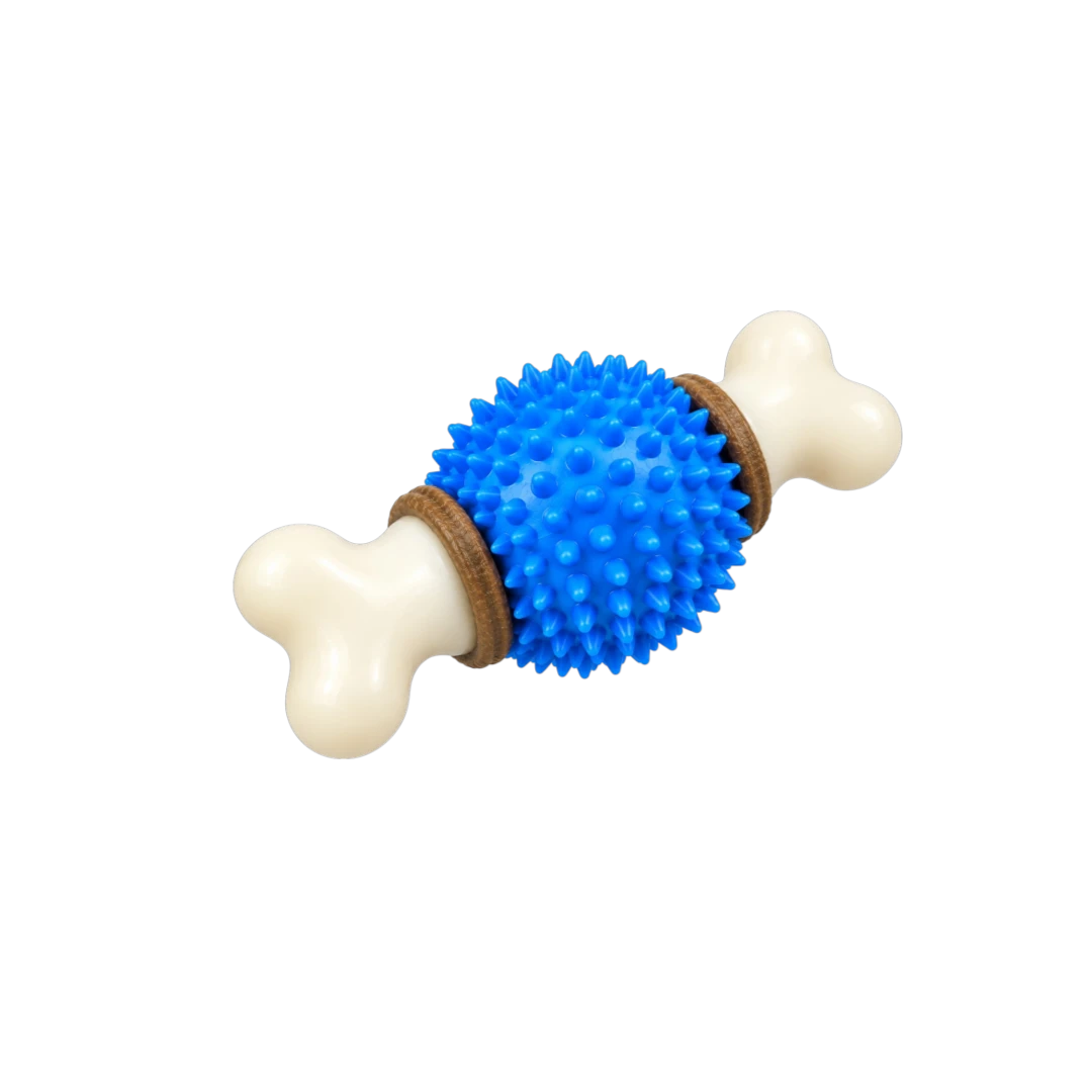 Bertiy Blue Spiky Ball Bone Interactive Dog Chew Toy
