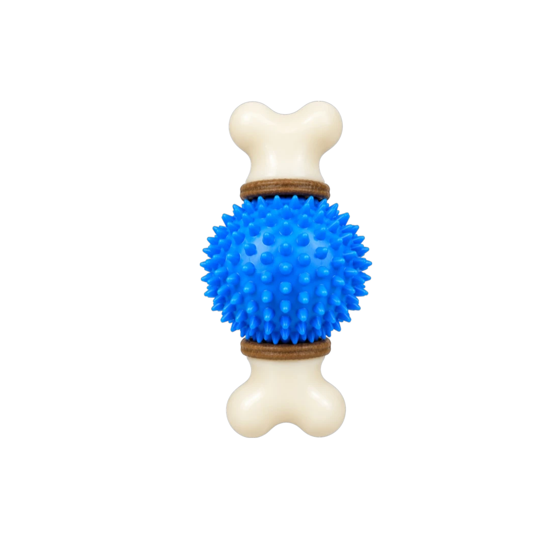 Bertiy Blue Spiky Ball Bone Interactive Dog Chew Toy