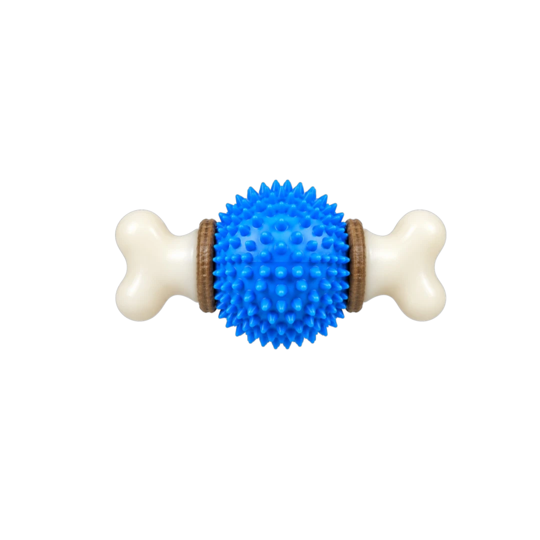 Bertiy Blue Spiky Ball Bone Interactive Dog Chew Toy