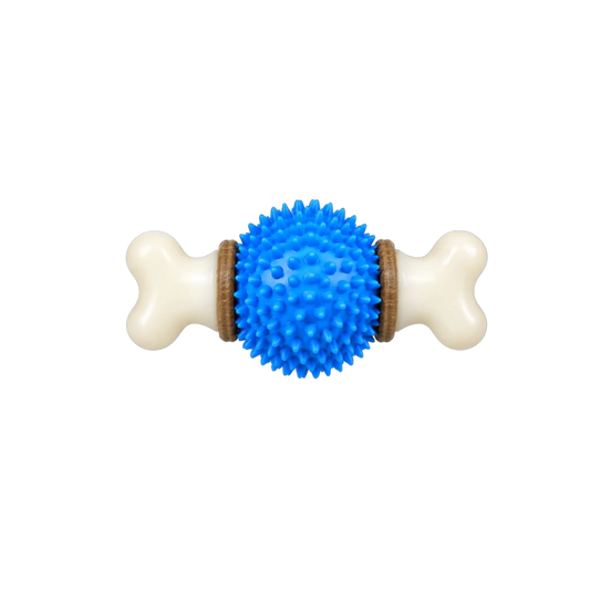 Bertiy Blue Spiky Ball Bone Interactive Dog Chew Toy
