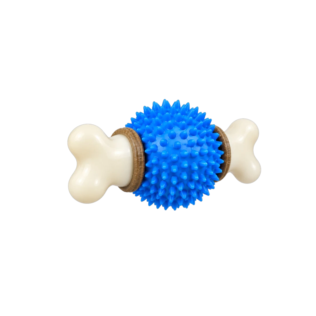 Bertiy Blue Spiky Ball Bone Interactive Dog Chew Toy