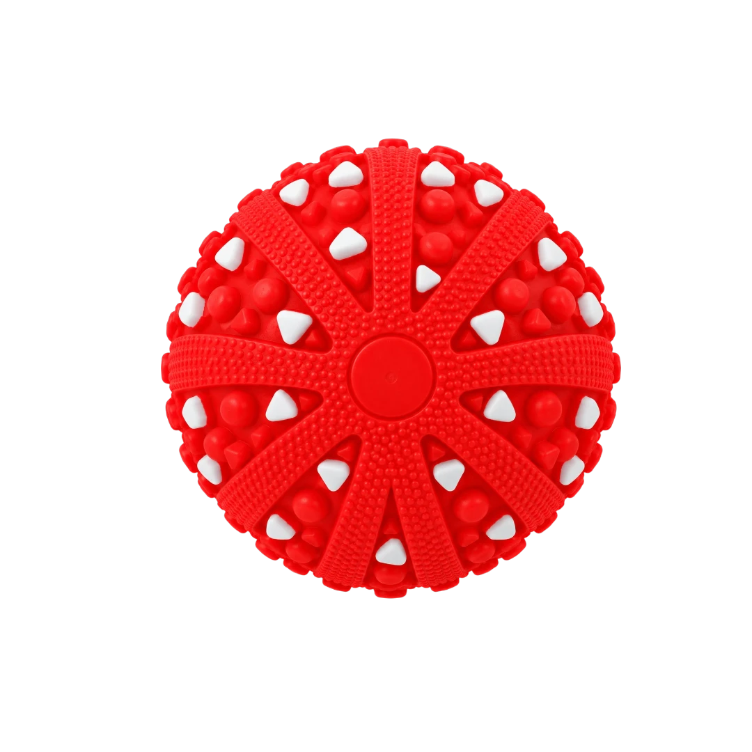 Bertiy Red Textured Interactive  Dog Toy