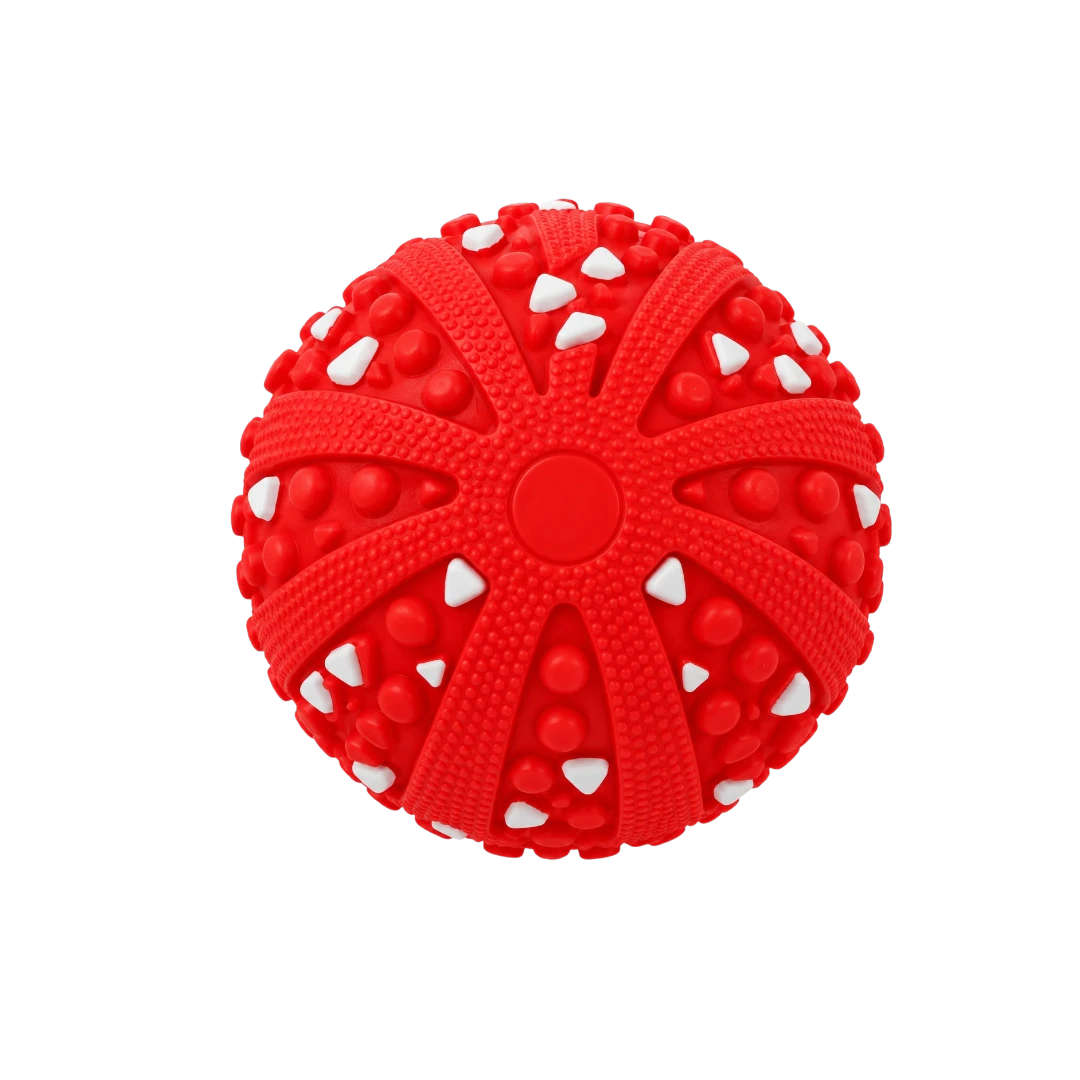Bertiy Red Textured Interactive  Dog Toy
