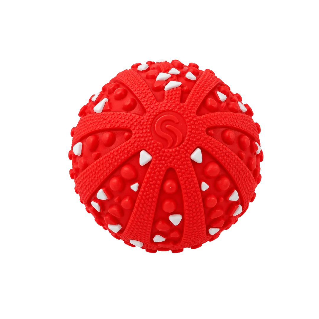 Bertiy Red Textured Interactive  Dog Toy