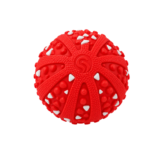 Bertiy Red Textured Interactive  Dog Toy